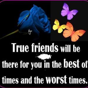 Meet your Posher, Beverly